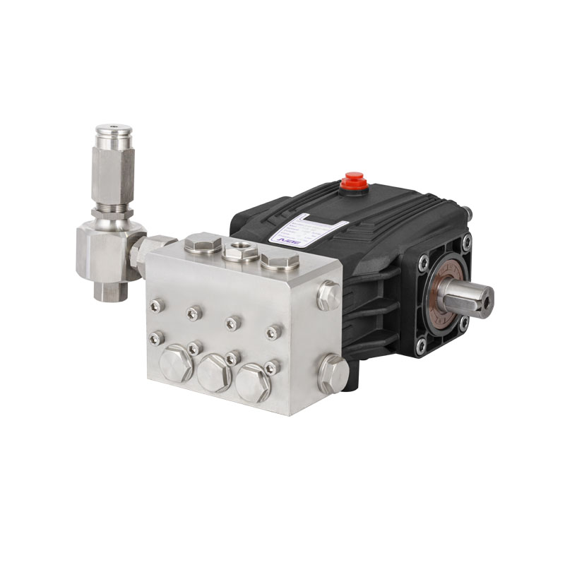 JPBF-N0810 Pompă cu piston triplex S.S de înaltă presiune 8Lpm 100Bar pentru instalație de desalinizare